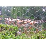 Protective Stainless Steel Aviary Mesh , X Tend Stainless Steel Aviary Panel