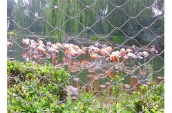 China Protective Stainless Steel Aviary Mesh , X Tend Stainless Steel Aviary Panel supplier