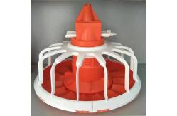 China 20kg Poultry Auger Feeder Chicken Feeding Line For Farm Hens supplier