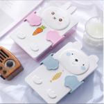 PP And Wheat Straw Fibre Lunch Box 2 Compartments Bento