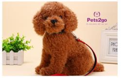China vibration Nylon 150x120cm Pet Training Collars supplier