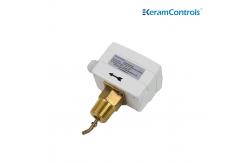 China Stainless Steel Paddle Water Flow Switch supplier
