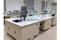 China Lab Instrument Table With Reagent Rack For Healthcare Industry supplier