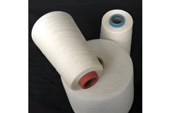 China Bright PA6 Nylon 6 Chips Long Lasting Environment Friendly With Heat Resistance supplier