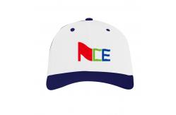 China Embroidered Model Printed custom Baseball Caps For Men 100% Polyester Material supplier