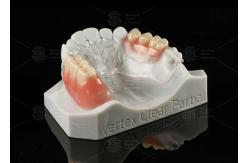 China Vertex Clear  Flexible Partial Virtually Unbreakable Low Allergy Risk Full Partial Denture supplier