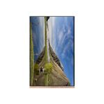 NV103WUM-N61 10.3 inch 1200*1920 LCD Screen Display For Pad Tablet for sale