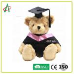 ASTM Stuffed Teddy Bear Graduation for sale