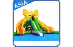 China Penguin Shape Inflatable Water Park , Inflatable Water Park Slides Combo supplier