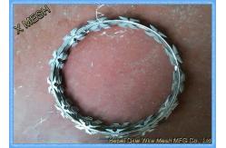 China Stainless Steel Cbt-60 Crossed Razor Wire Security Fence with Clips supplier