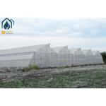 Modern Agriculture Tropical Multi Span Greenhouse Easy Setup Low Maintenance for sale