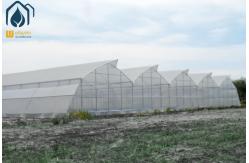 China Modern Agriculture Tropical Multi Span Greenhouse Easy Setup Low Maintenance supplier
