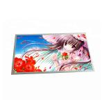 New G156HAN02.1 15.6 inch LCD Display with industry medical imaging for sale