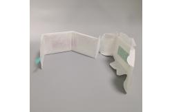 China Odor Control Biodegradable Organic Sanitary Pads With Wing supplier