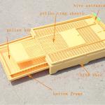China Multi-function pump draw pull type plastic beehive bottom board/base for sale for sale