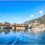 One Stop LCL FCL Sea Freight Forwarding Services From China To India for sale