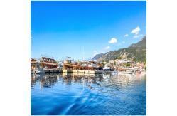China One Stop LCL FCL Sea Freight Forwarding Services From China To India supplier