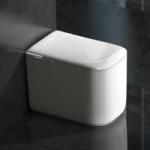 Modern Intelligent Toilet with Built-in Water Tank for Commercial Spaces and Modern Design in Hospital for sale