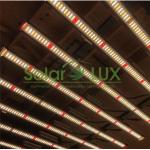 Led Plant Light Cover 2000w Full Spectrum LED Grow Light for sale