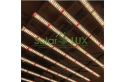 China Led Plant Light Cover 2000w Full Spectrum LED Grow Light supplier