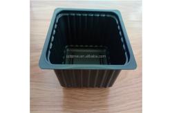 China PS Plastic Tray Box for Growing Succulent Microgreens in Disposable Rectangle Design supplier