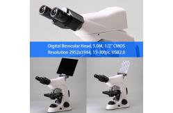 China Research Binocular Head Digital Optical Microscope A31.6603 supplier