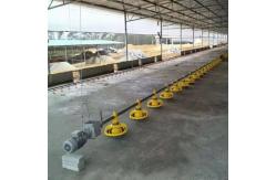 China 22ton 220V Auger Automatic Pan Feeding System Shed supplier