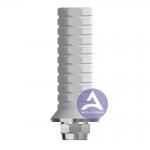 ITI Straumann Tissue Level Synocta® Titanium Temporary Abutment Compatible  RN 4.8mm/ WN 6.5mm for sale
