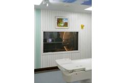 China 8mm Emi Shielded Radiation Shielding Windows With Toughened Glass 5mm MRI Room supplier