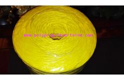 China 2% UV Polypropylene Baling Twine supplier