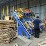Fully Automatic Rayco Storti American Wood Pallet Nailing Machine for sale