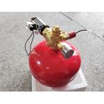 Unique Replacement For Fm200 Automatic Hanging Fire Extinguishers With Alarm System for sale