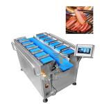TOUPACK 12 Head Linear Combination Weigher For Cured Meat Packaging Machine Meat Belt Linear Multihead Weighe