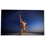 SAMSUNG 55 Inch Thin Bezel Monitor LTI550HN17 With 1920*1080 Resolution for sale