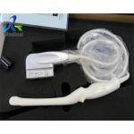 Realtime 4D Microconvex Endocavitary Ultrasound Transducer Probe GE RIC5-9W-RS for sale