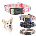 Fashionable Nylon Buckle Dog Collar S M L Breakaway Cat Collars Customized for sale