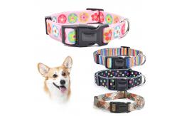 China Fashionable Nylon Buckle Dog Collar S M L Breakaway Cat Collars Customized supplier