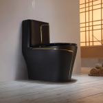 Black Toilet Siphon Flushing Sanitary Ware Toilet for sale