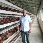 Layer Chicken Egg Cage Battery Cages For Farm 3 Tiers 4 Tiers for sale