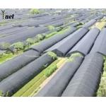 Anti UV Sun Shade Net 50GSM - 350GSM Greenhouse Shading Mesh For Crops for sale