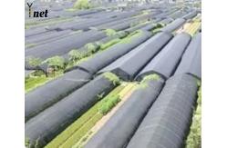 China Anti UV Sun Shade Net 50GSM - 350GSM Greenhouse Shading Mesh For Crops supplier