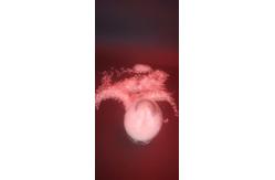 China Good Flow HAA 95/5 Powder Coating Polyester Good Mechanical Property supplier