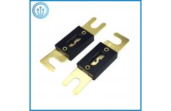 China 100 Amp anl Auto Blade Fuses UL CUL supplier