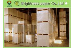 China Smoothness Coated Board Paper Clay Coated News Back OEM Avaliable supplier