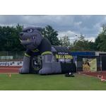 Custom Team Oxford Inflatable Football Sports Helmet & Tunnel Mascot Inflatable Bulldog Tunnel for sale