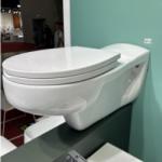 Wall Hung Disabled Ceramic Toilet Set For Public And Private Restrooms for sale