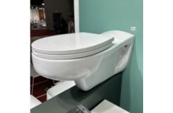 China Wall Hung Disabled Ceramic Toilet Set For Public And Private Restrooms supplier