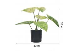 China Artificial Small Green Potted Plants 32cm High 37cm Wide Evergreen Table Plants supplier