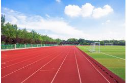 China Odorless Breathable Plastic Running Track Mixed EPDM Spray Coating Jogging Track supplier