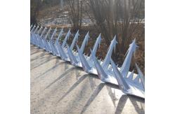 China 1.25m Garden Gate Security Spikes supplier